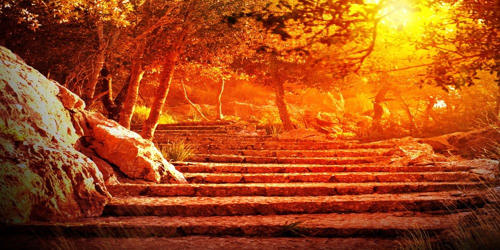 Photograph by santosh pandit