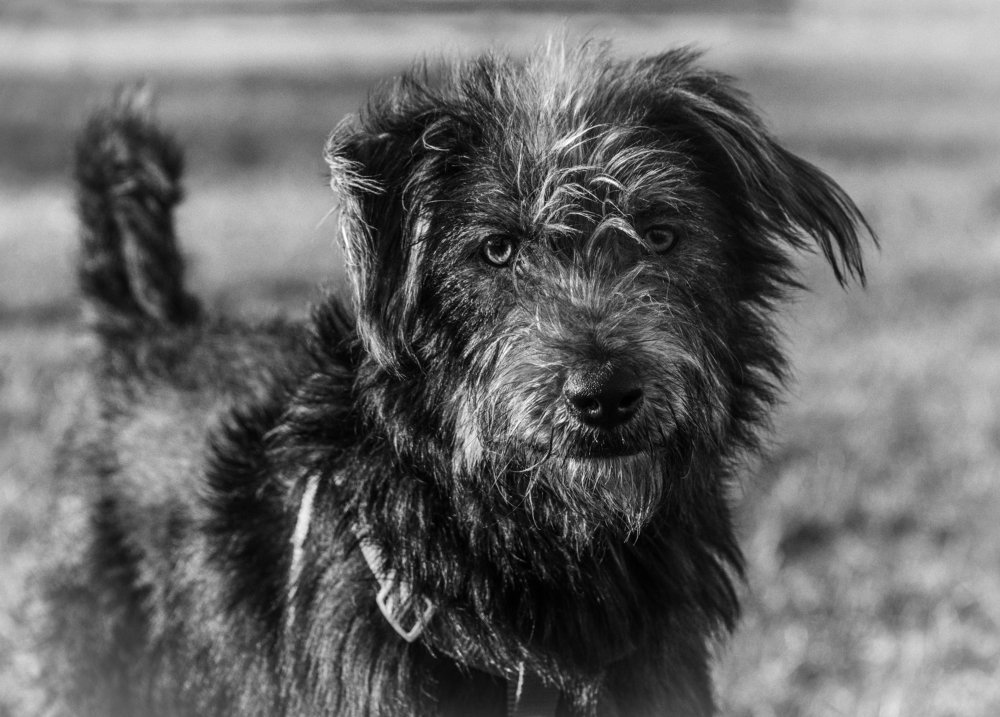 Photograph by Владимир Брагилевский