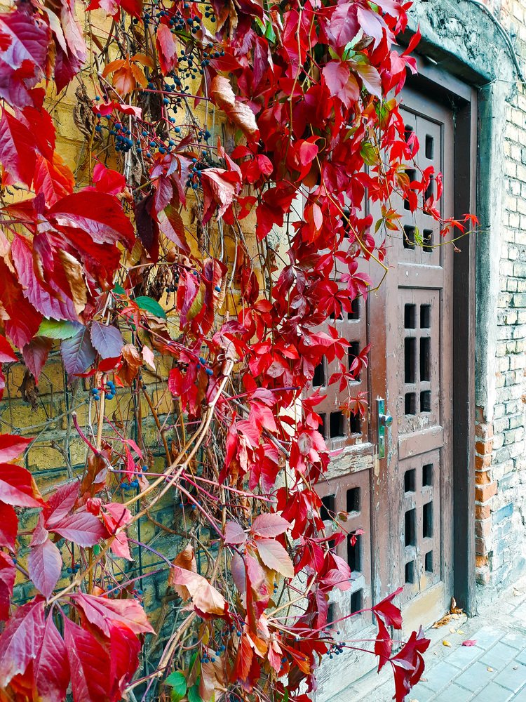Vilnius. Autumn in the old town