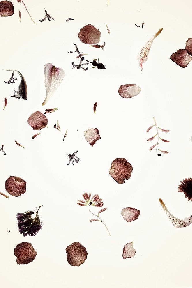 Photograph by Анастасия Като