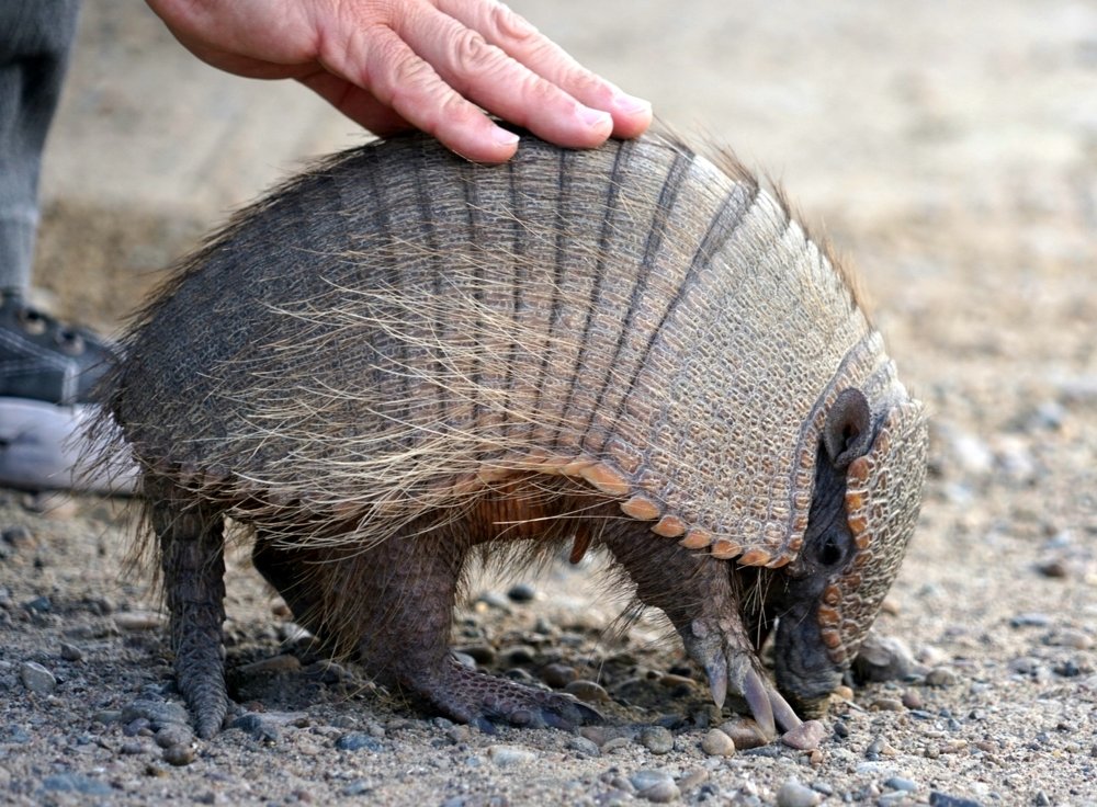 Photograph by Karina Elena Bergagna