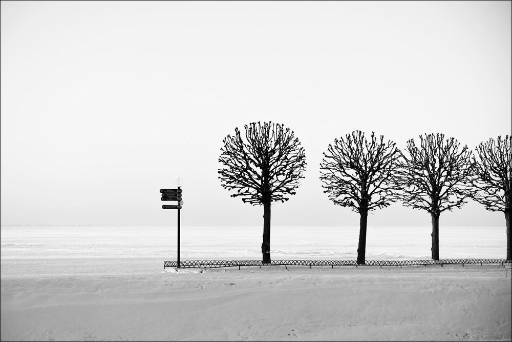 Photograph by Крицак Ольга