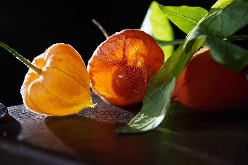 Photograph by Марина Хаева