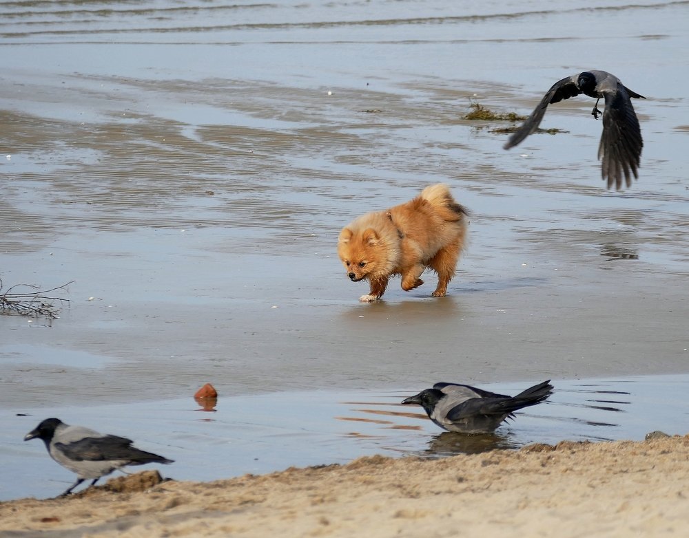 Photograph by Наталья