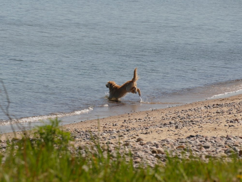 Photograph by Наталья