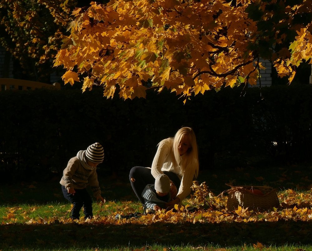 Photograph by Наталья