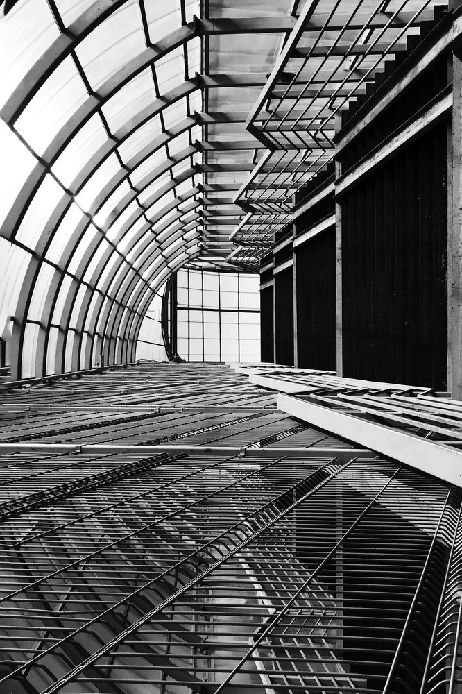 Photograph by Анастасия Ломаева