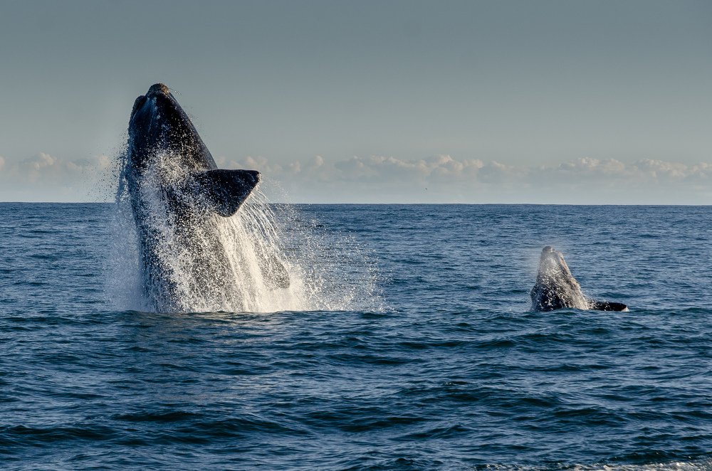 Photograph by Данил Луговой