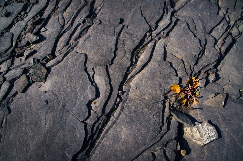 Photograph by Марина Изман