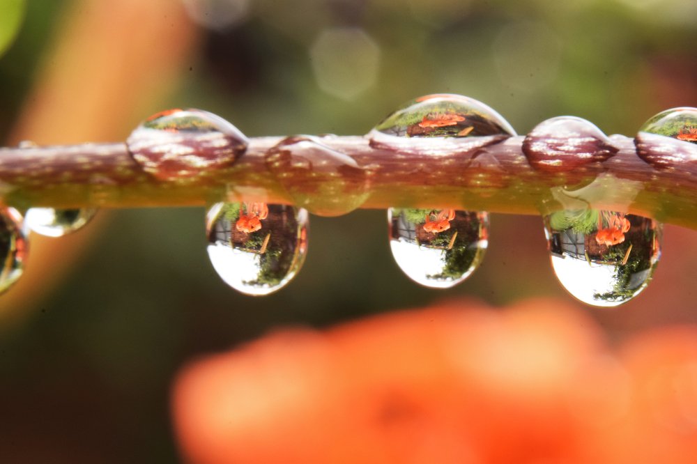 Photograph by Марина Хаева