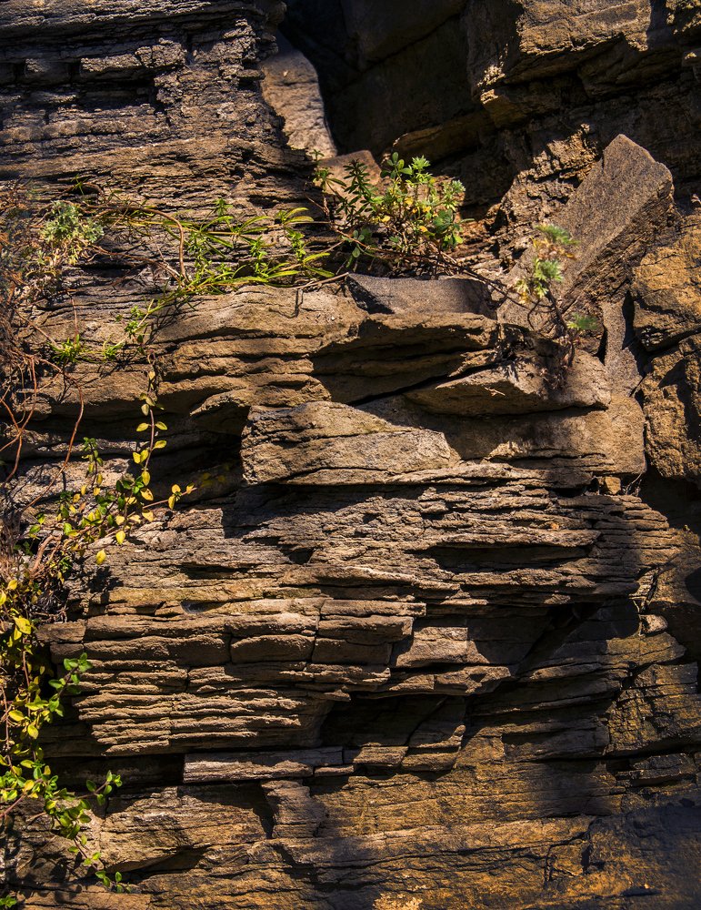 Photograph by Марина Изман