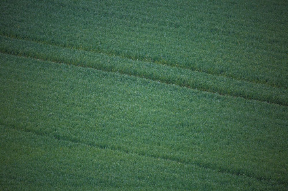 Photograph by Marcin Mirek