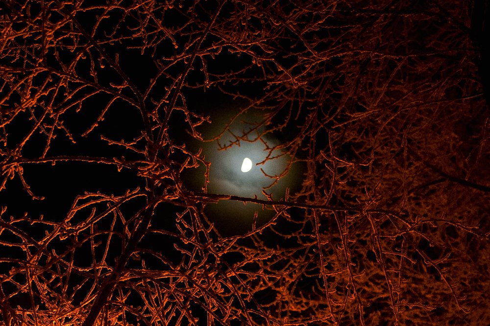 Photograph by Елена Шелыгина