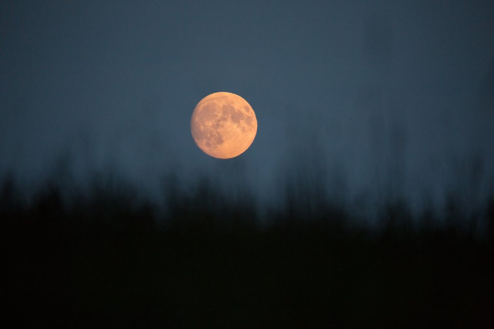 Photograph by Marcin Mirek