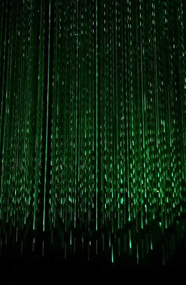 Photograph by Michelle Vaughn