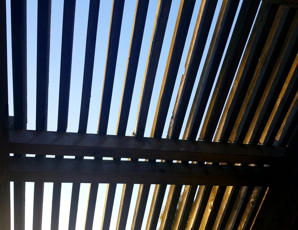 Photograph by Michelle Vaughn