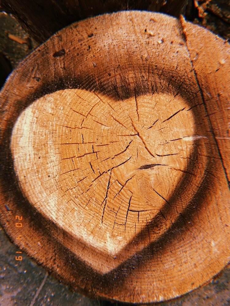 Фотография автора Владислав Шейко