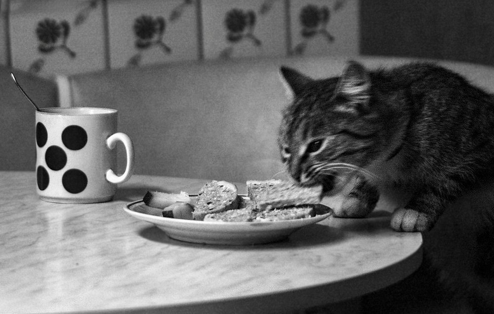 Photograph by Марина Изман