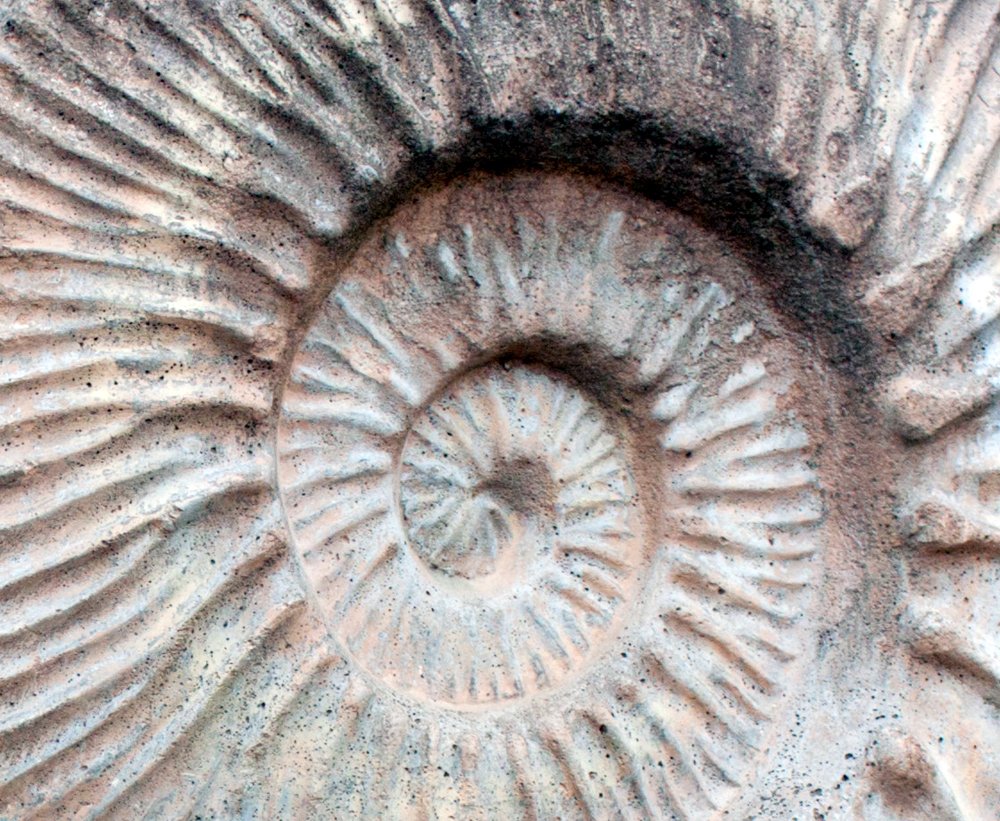 Photograph by Мария Самоловова