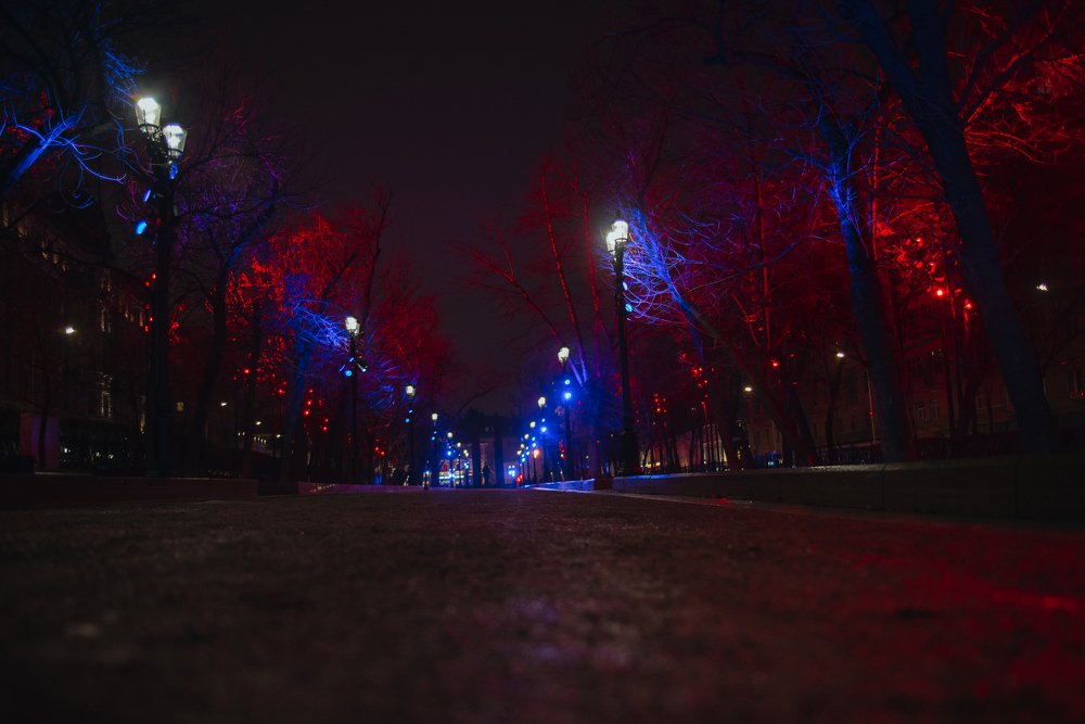 Photograph by Любовь Белявцева