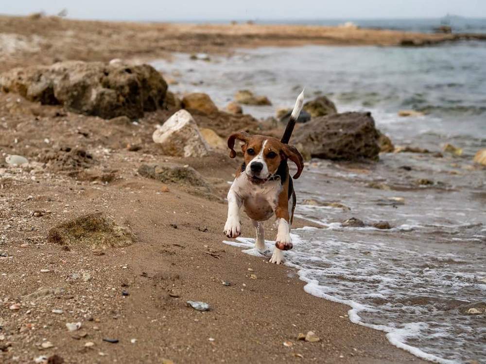 Photograph by Semion Ribinik