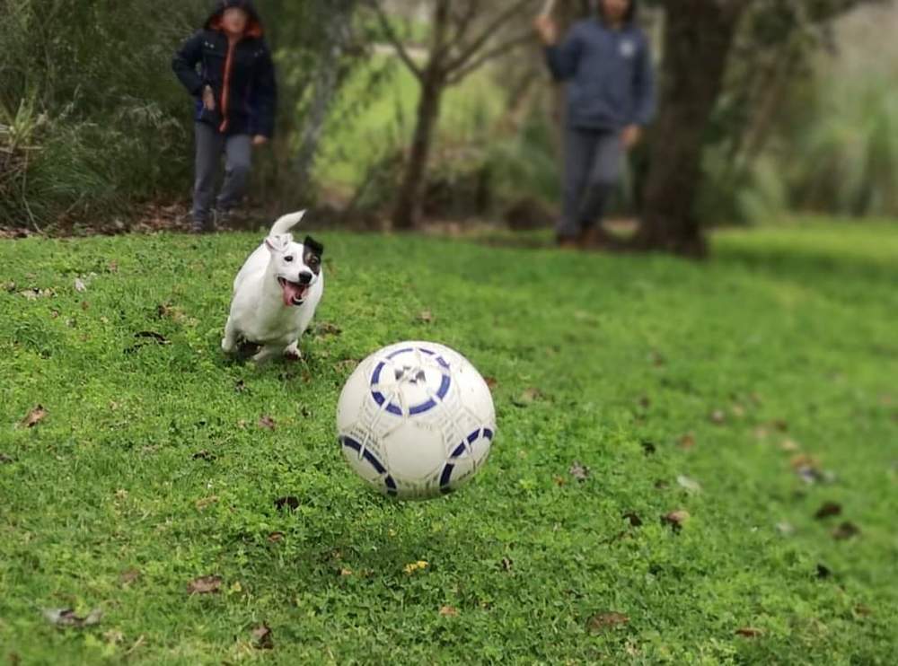 Photograph by Semion Ribinik