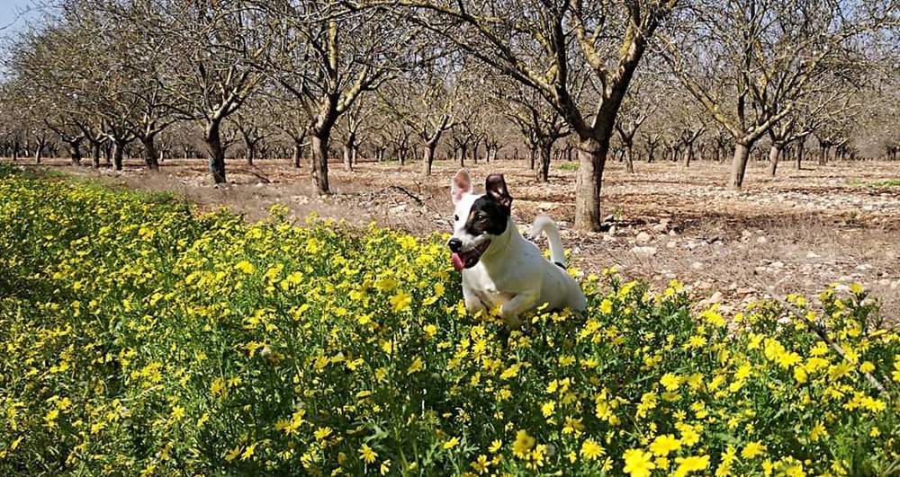 Photograph by Semion Ribinik