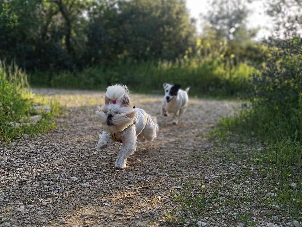 Photograph by Semion Ribinik