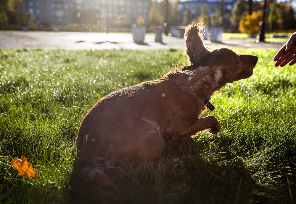 Photograph by Марина Изман