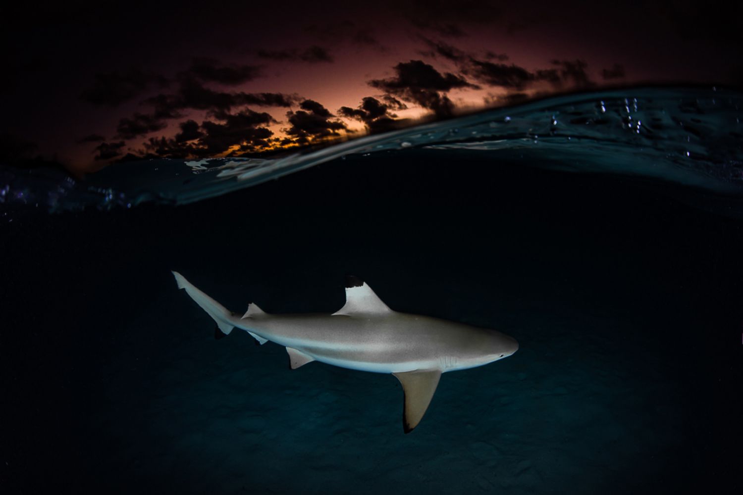 Фотография #3899813