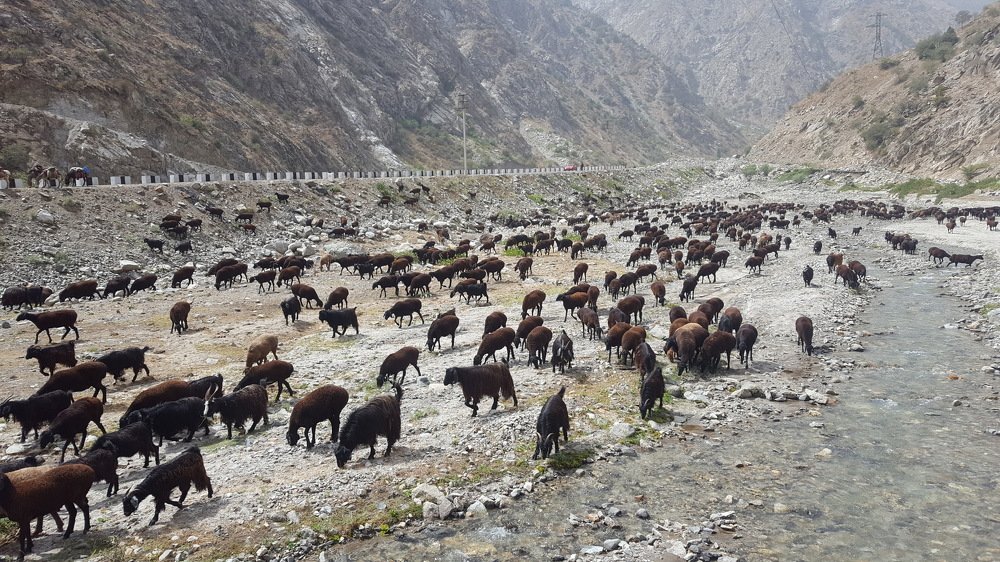 Photograph by Nguyen Phuong Lan