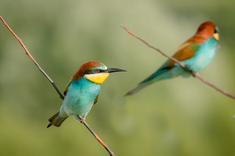 Photograph by Алексей Юденков