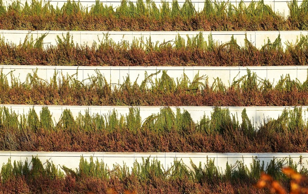 Photograph by Margo Margo