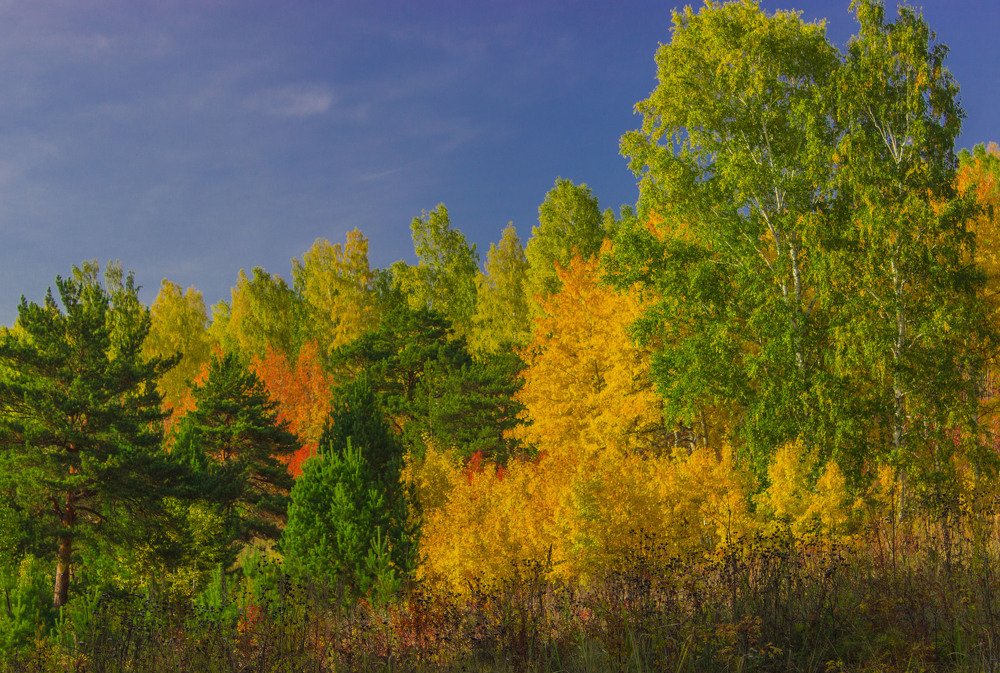 Краски осени