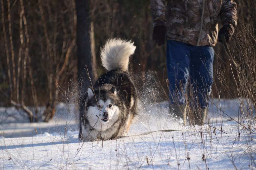 Фотография автора Анастасия Руднева