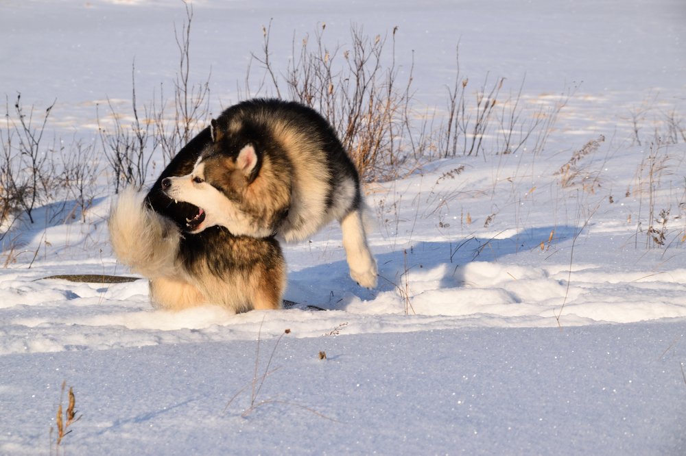 Фотография автора Анастасия Руднева