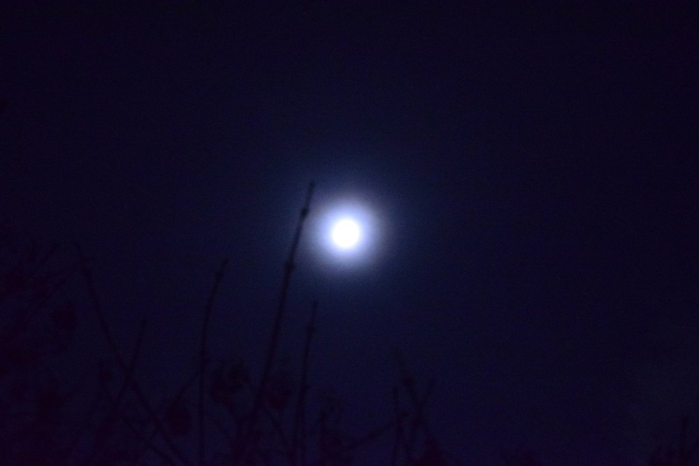 Photograph by Наталья Еременко