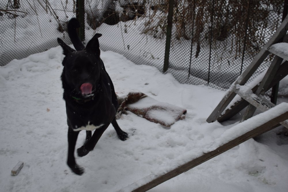 Photograph by Наталья Еременко