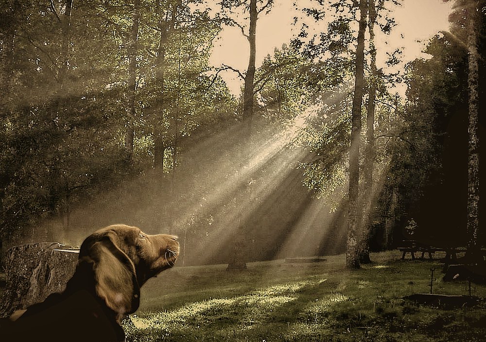 Photograph by Ricardo Sánchez