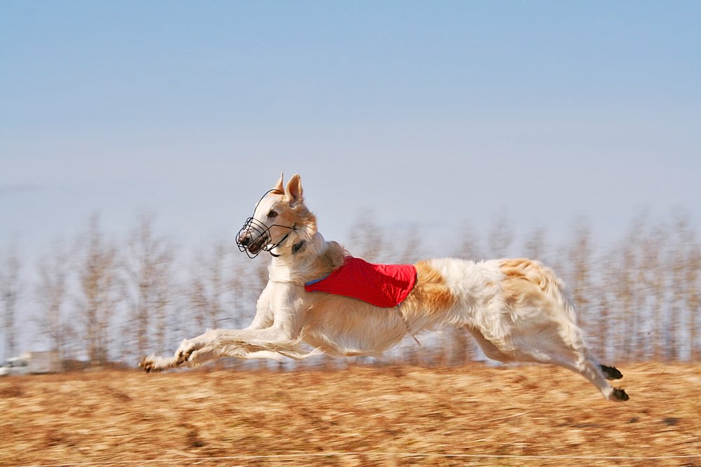 Photograph by Ирина Богатырева