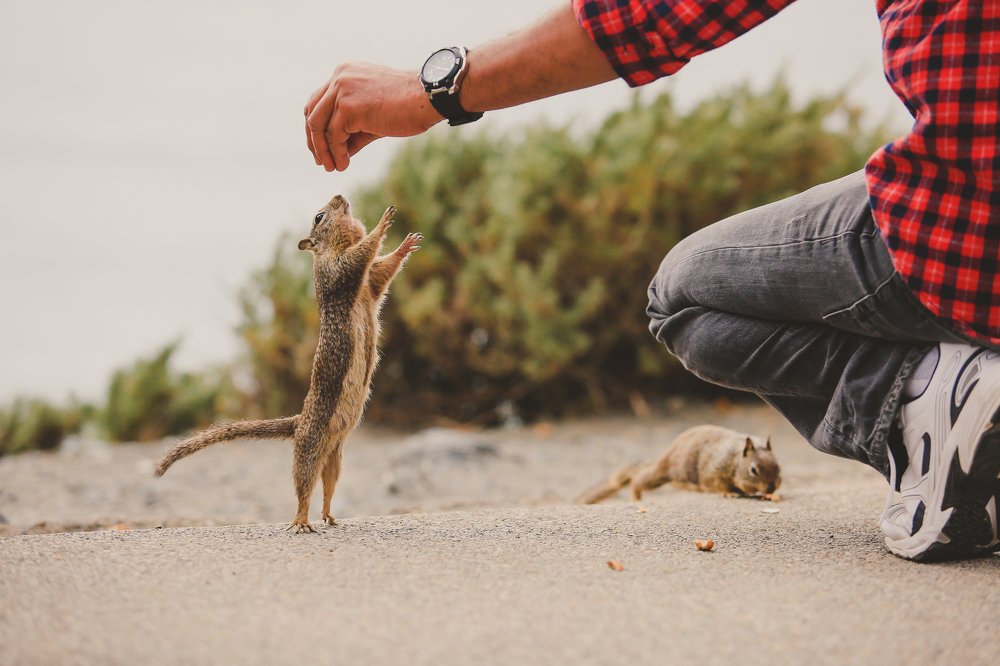 Photograph by Ruslan Pastushak