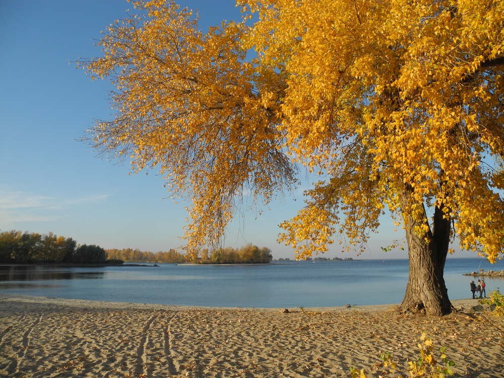 Photograph by Елена Литвин