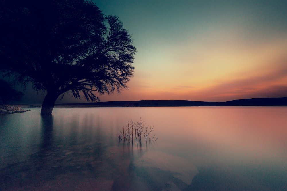 Photograph by MOHAMMED IBRAHIM