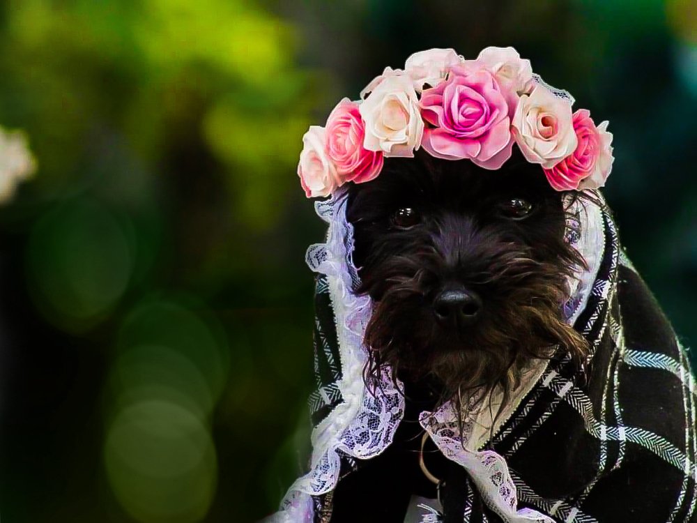 Photograph by Ricardo Sánchez