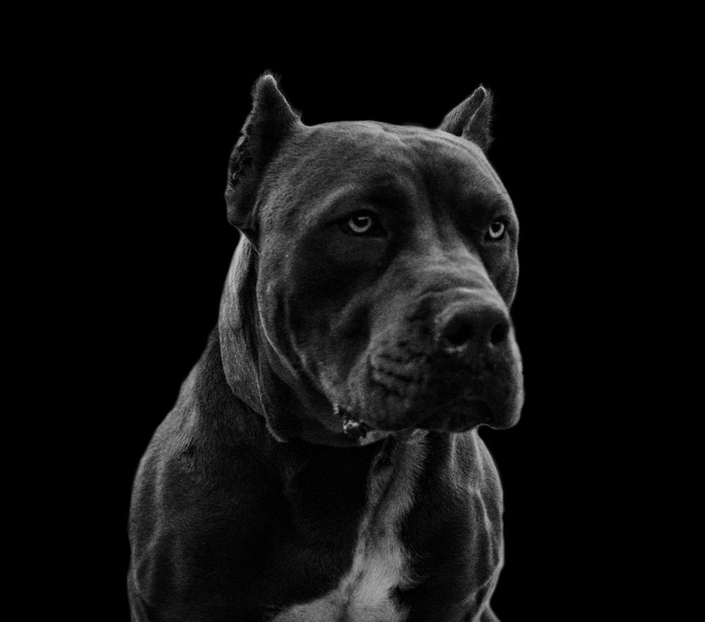 Photograph by Ricardo Sánchez