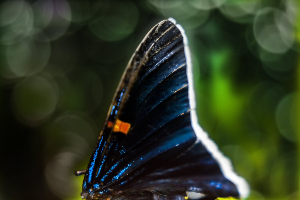 Photograph by Ricardo Sánchez