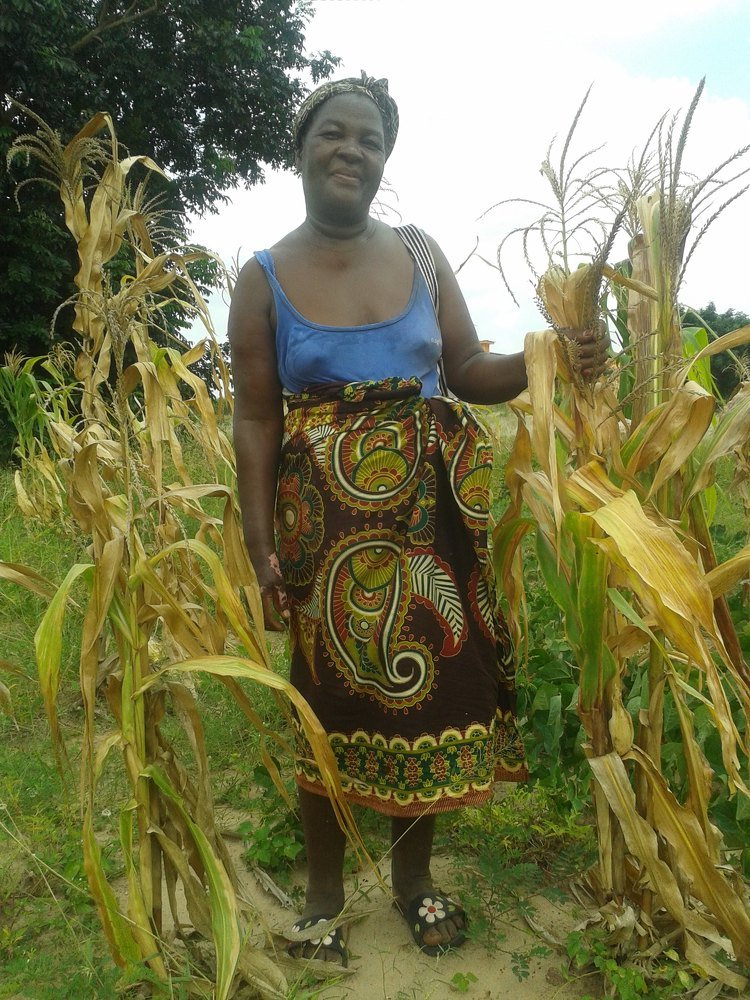 Sacrifice of Mozambican Women