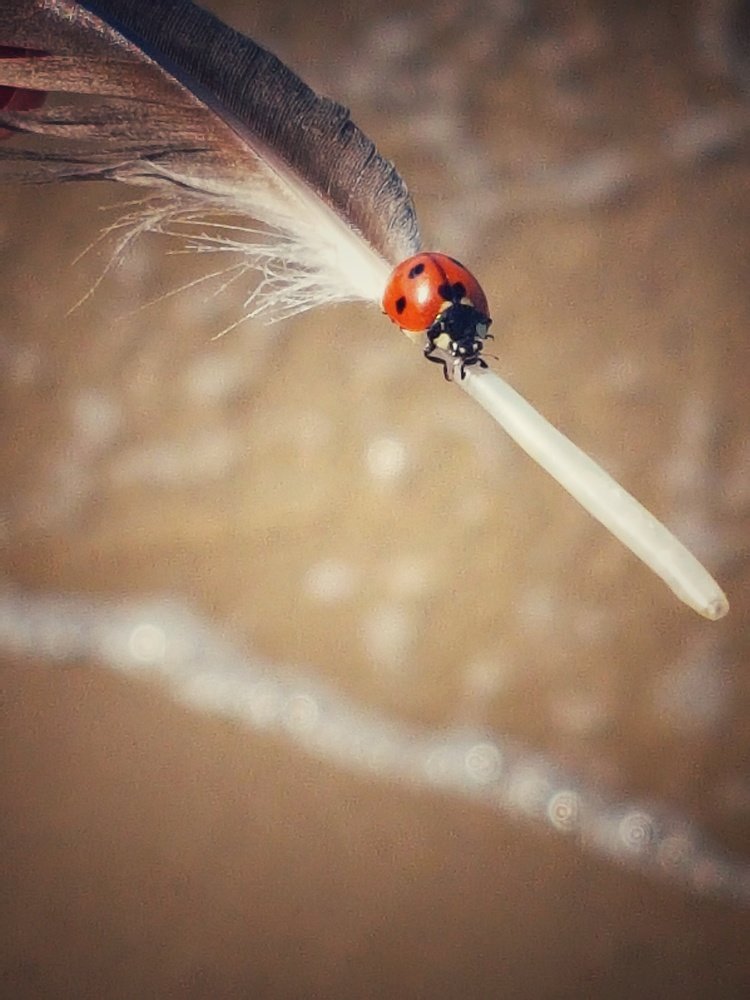 Photograph by 