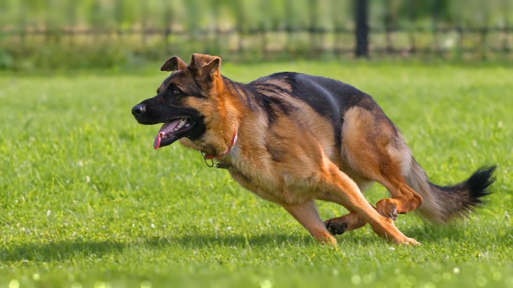 Photograph by Людмила Ефремова