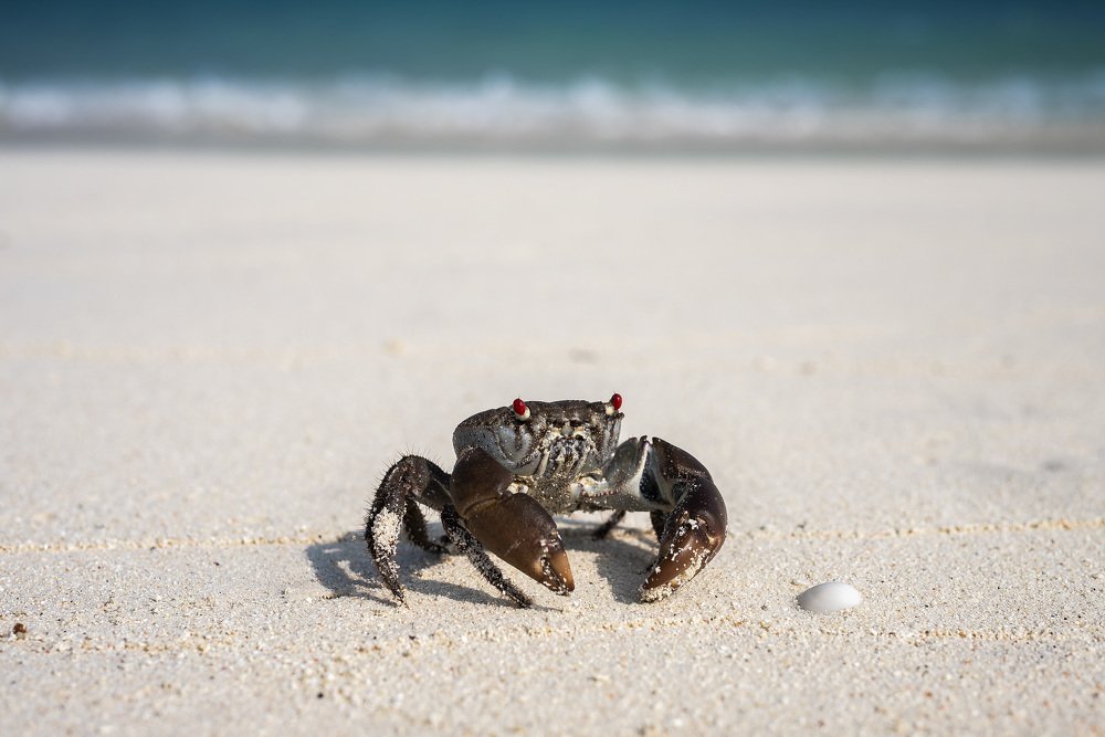 Photograph by Karen Khachaturyants